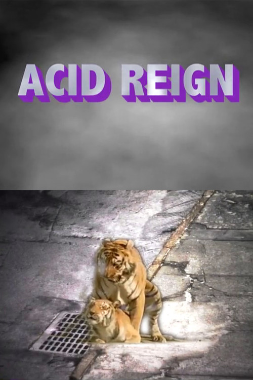 Movie poster for ACID REIGN (2011)