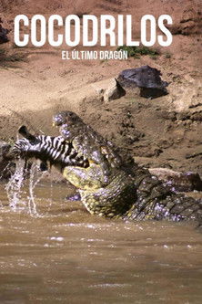 Movie poster for Crocodiles, the last dragon (2010)