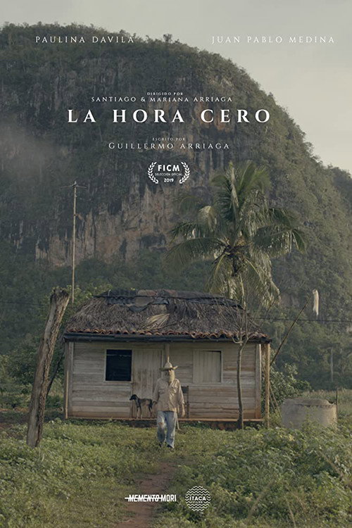 Movie poster for Zero Hour (2019)