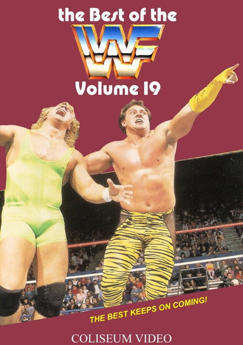 Movie poster for The Best of the WWF: volume 19 (1989)