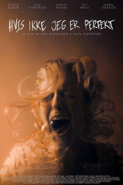 Movie poster for Without Perfection (2025)