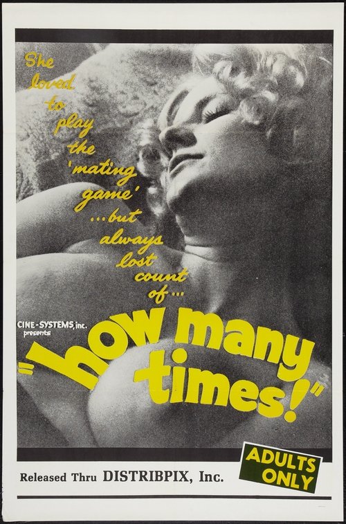 Movie poster for How Many Times (1969)