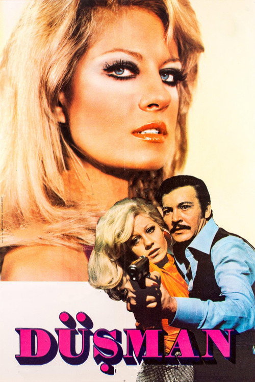 Movie poster for Düşman (1973)