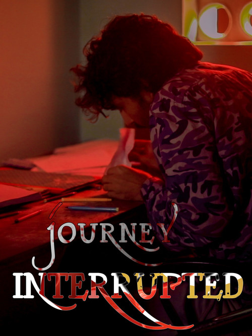 Movie poster for Journey Interrupted