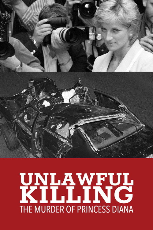 Movie poster for Unlawful Killing (2011)
