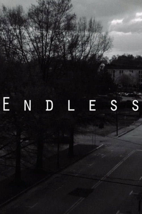 Movie poster for Endless (2016)