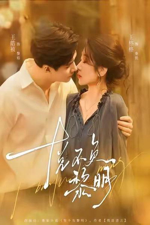 悦不负黎明 poster