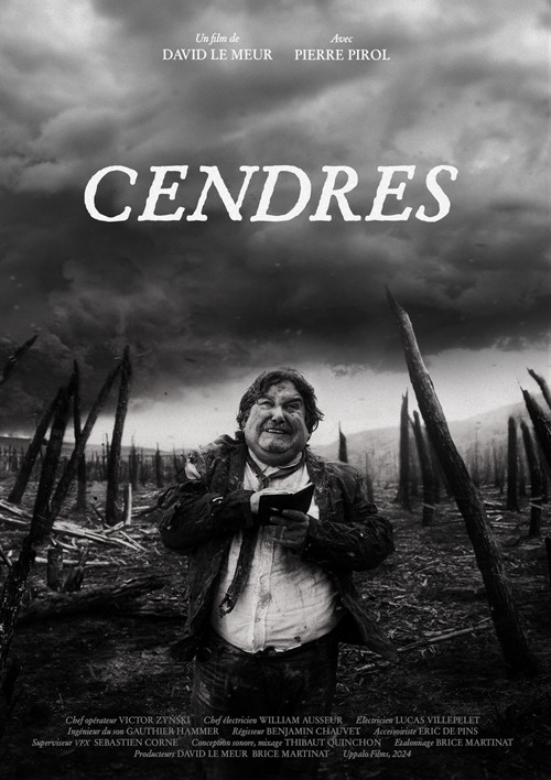 Movie poster for Ashes (2024)