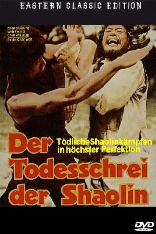 Movie poster for Mysterious Footworks of Kung Fu (1978)