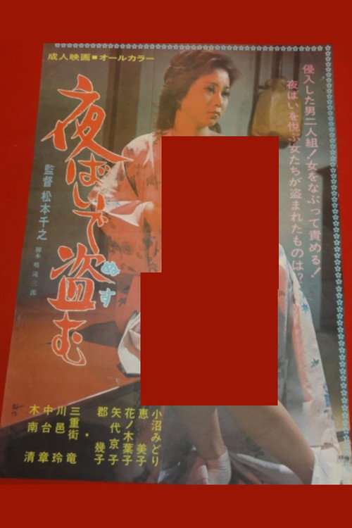 Movie poster for Stealing at Night (1976)