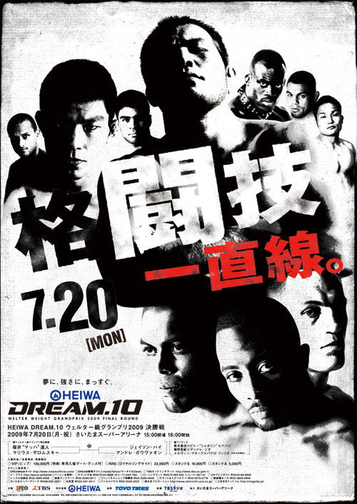 Movie poster for DREAM 10 (2009)
