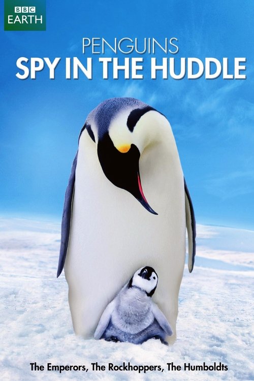 Series poster for Penguins: Spy in the Huddle (2013)