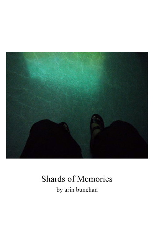 Movie poster for Shards of Memories (2024)