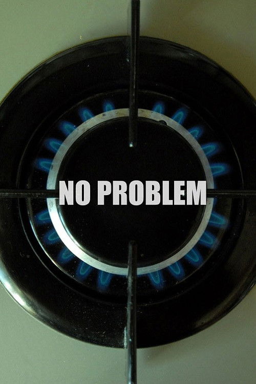 Movie poster for No Problem (2010)