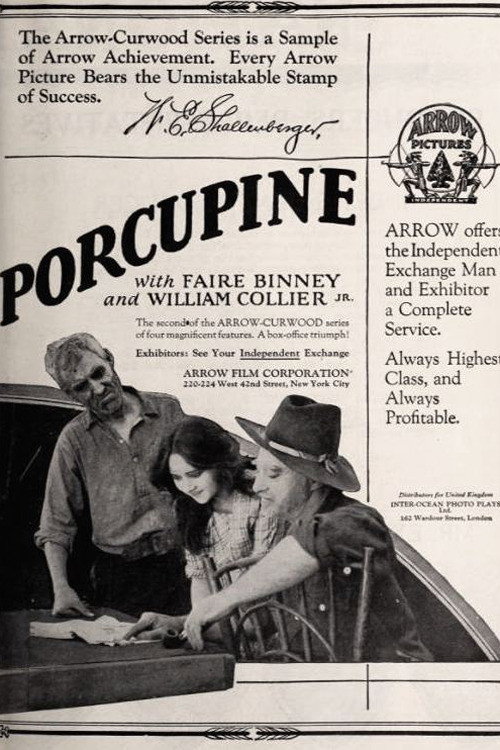 Movie poster for The Girl from Porcupine (1921)