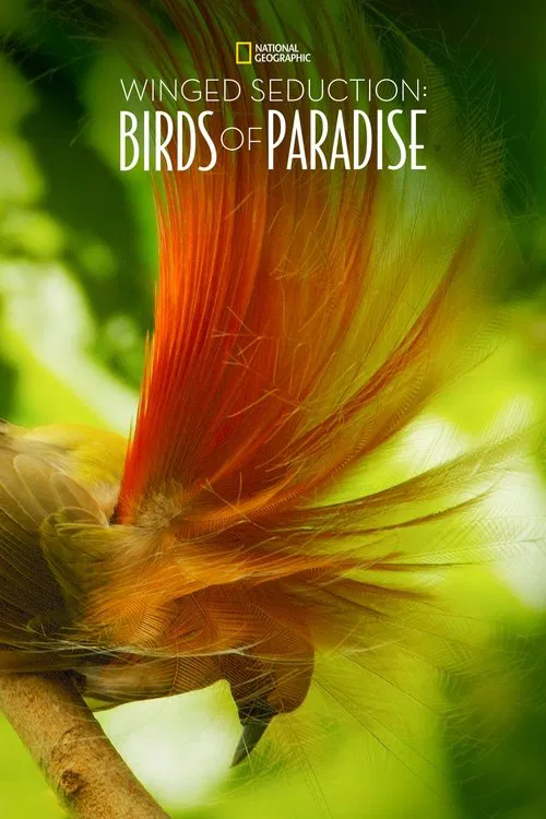 Movie poster for Winged Seduction: Birds of Paradise (2012)
