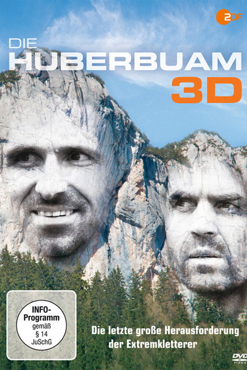 Movie poster for Pushing the Limit (2011)