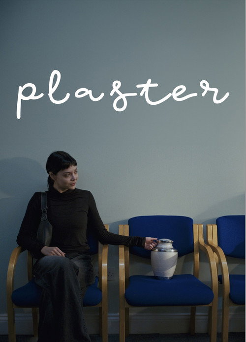Movie poster for Plaster