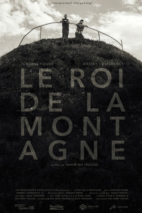 Movie poster for Le roi de la montagne