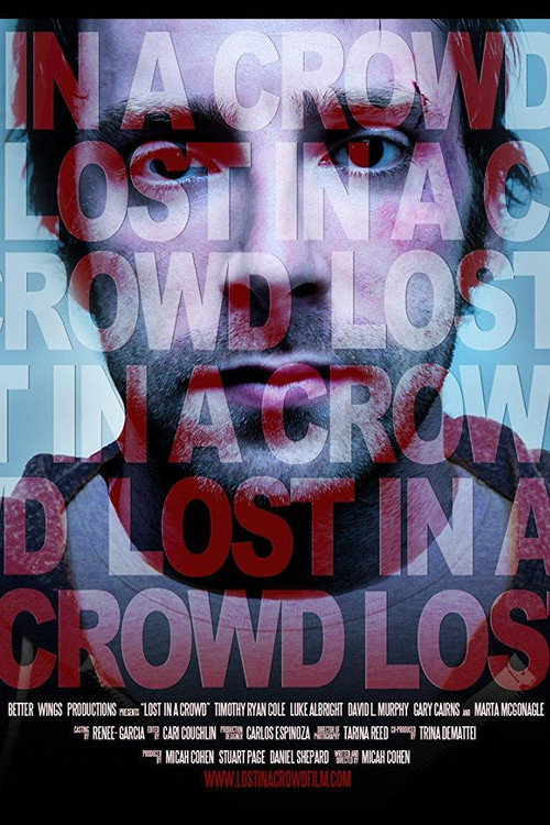 Movie poster for Lost in a Crowd (2011)
