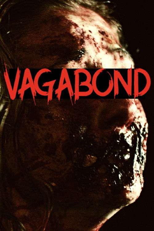 Movie poster for Vagabond (2019)