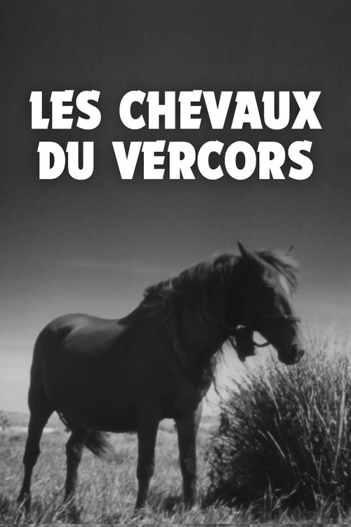 Movie poster for Les Chevaux du Vercors (1943)