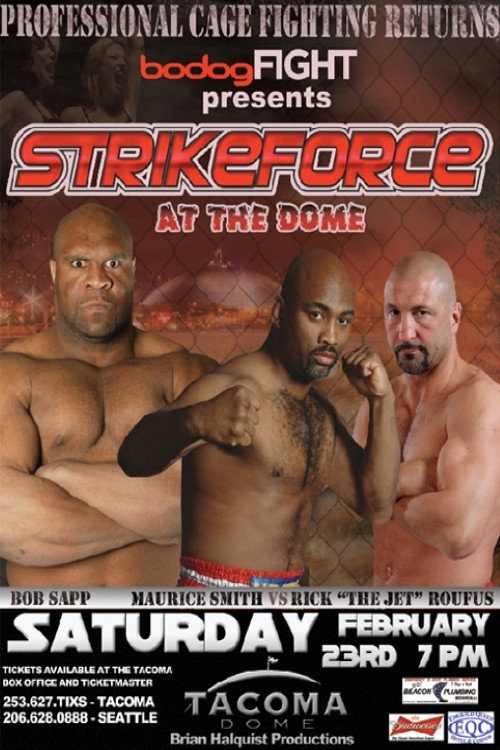 Movie poster for Strikeforce: At the Dome (2008)