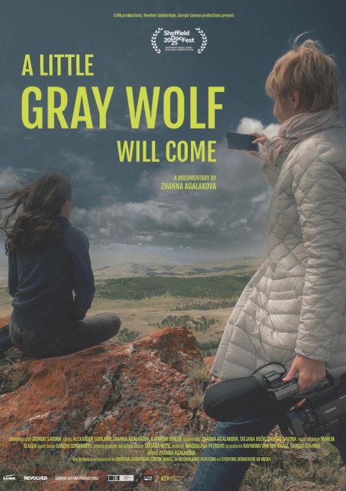Movie poster for A Little Gray Wolf Will Come (2025)