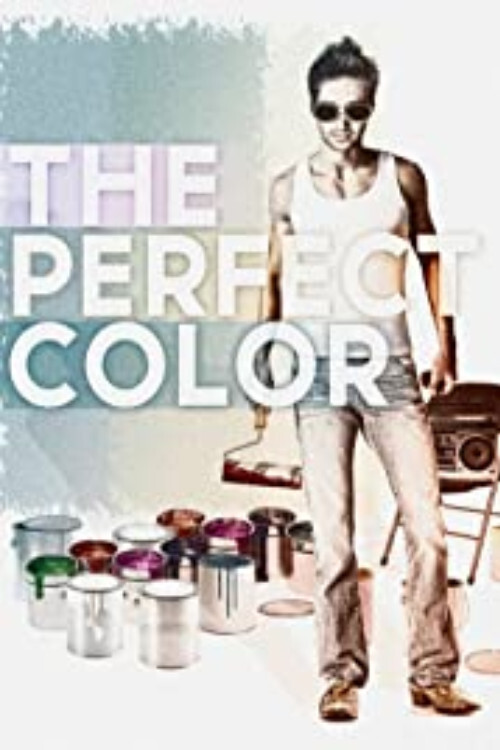 Movie poster for The Perfect Color (2014)