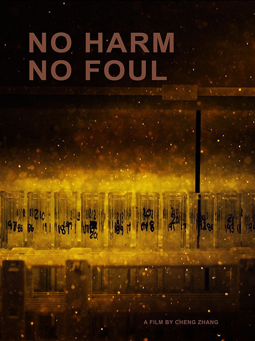 Movie poster for No Harm No Foul (2017)