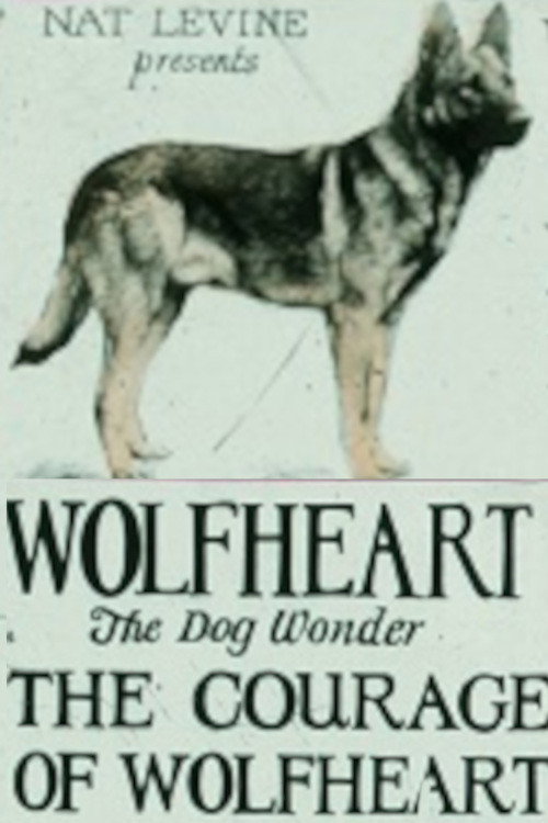 Movie poster for Courage of Wolfheart (1925)