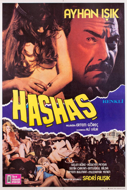 Movie poster for Haşhaş (1975)