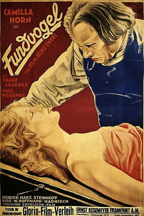 Movie poster for Fundvogel (1930)