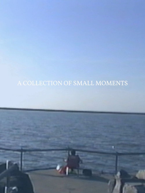 Movie poster for A Collection of Small Moments