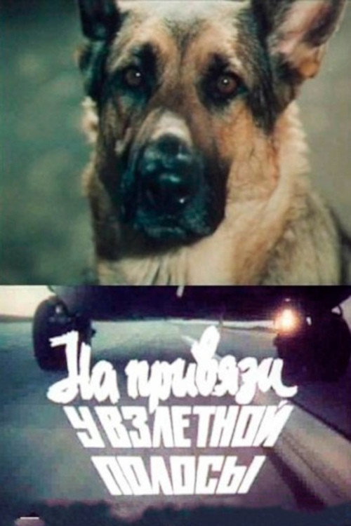 Movie poster for Tethered to the Runway (1989)