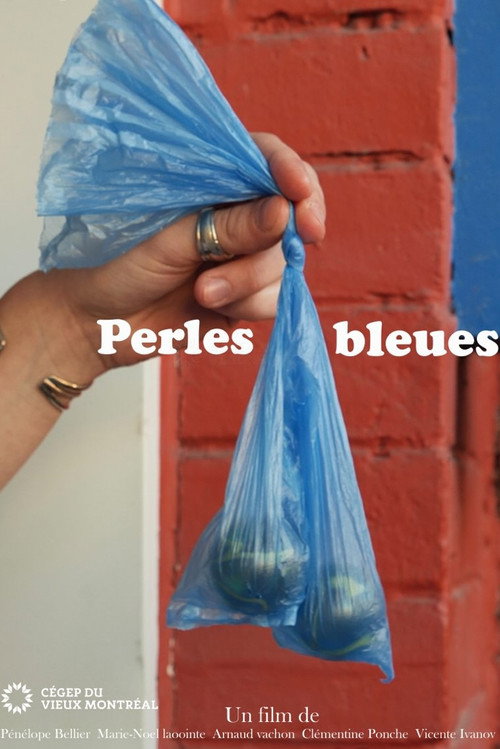 Movie poster for Perles Bleues (2024)