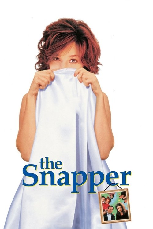 Movie poster for The Snapper (1993)