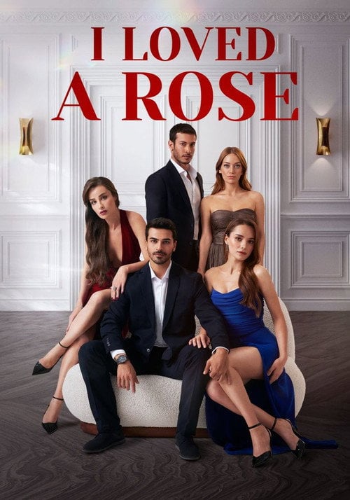 Series poster for Ask Yarası (2026)