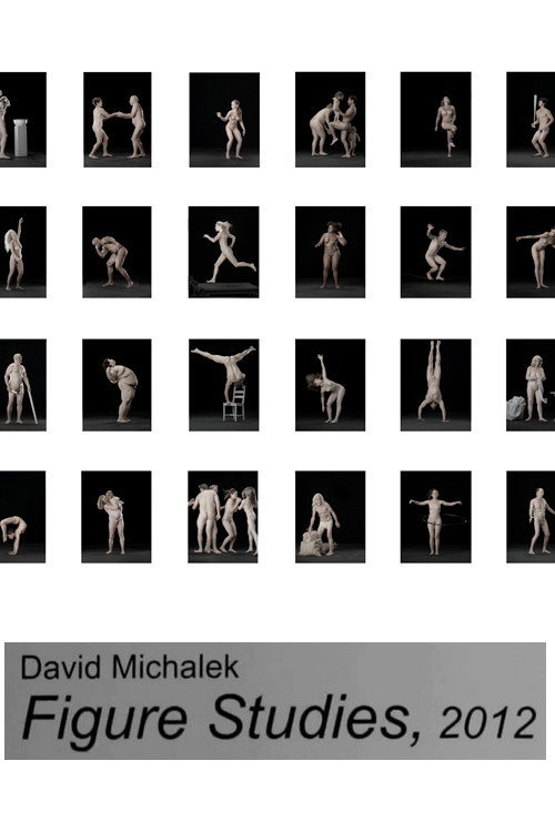 Movie poster for Figure Studies (2012)