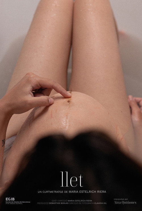 Movie poster for Milk (2024)