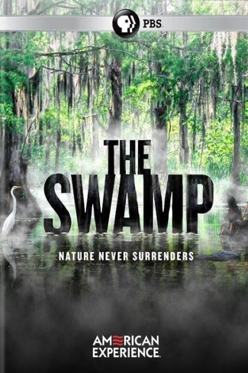 Movie poster for The Swamp (2019)