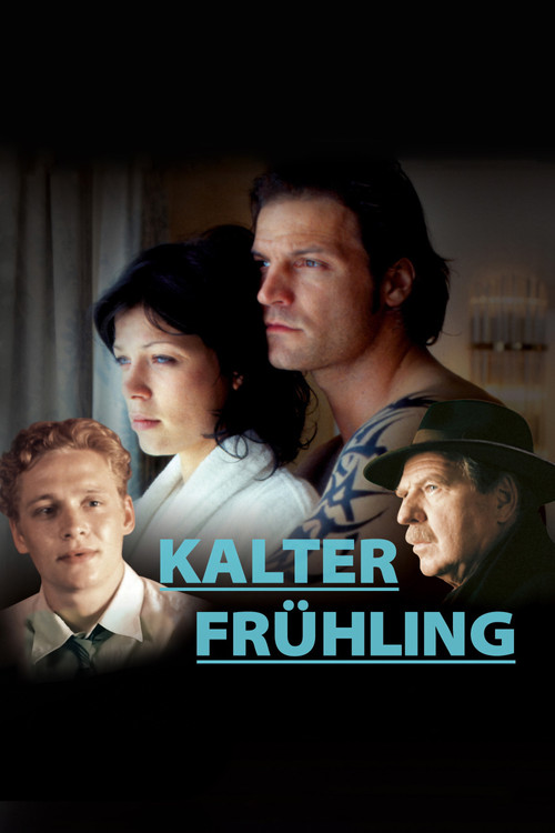 Movie poster for Cold Spring (2004)
