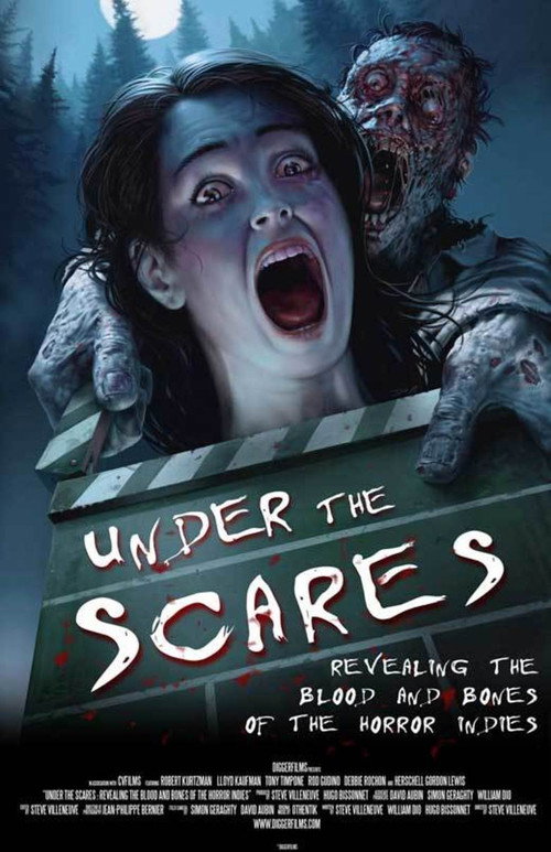 Movie poster for Under the Scares (2010)