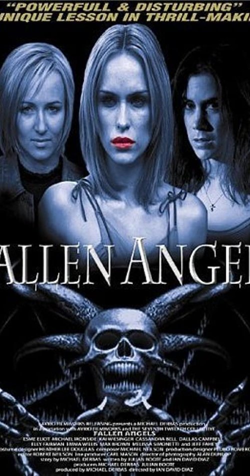 Movie poster for Fallen Angels (2002)