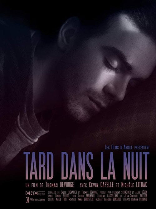 Movie poster for Late at Night (2016)