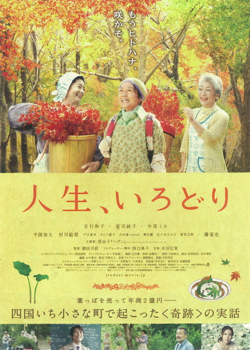 Movie poster for It's a Beautiful Life - Irodori (2012)