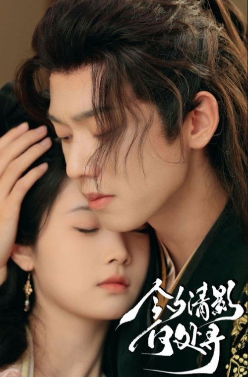 今夕清影何处寻 poster