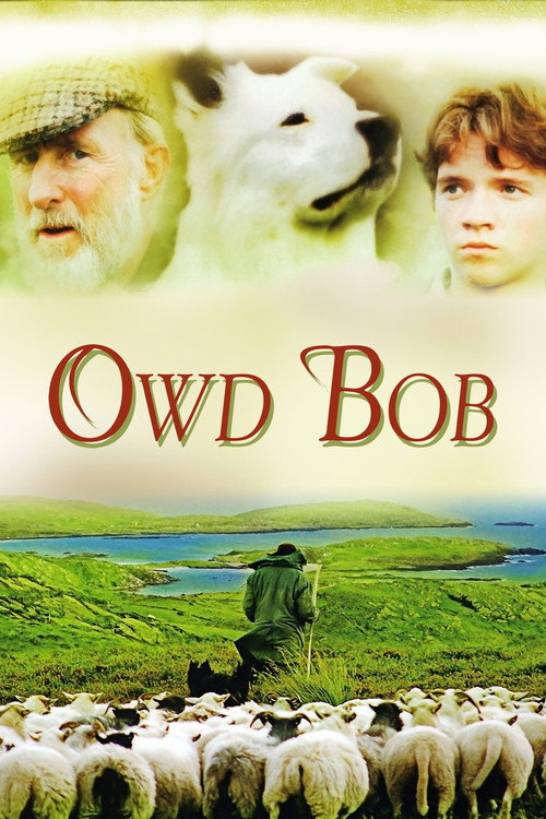 Movie poster for Owd Bob (1998)