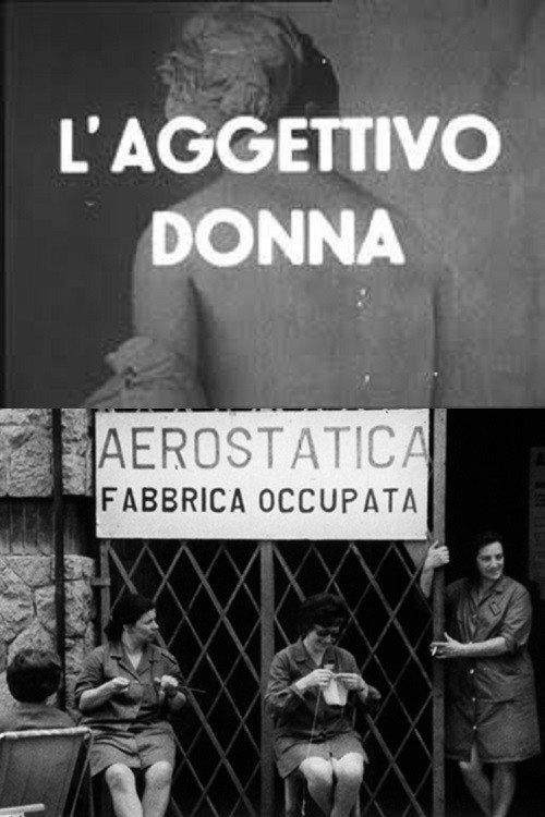 Movie poster for The Adjective Woman (1971)