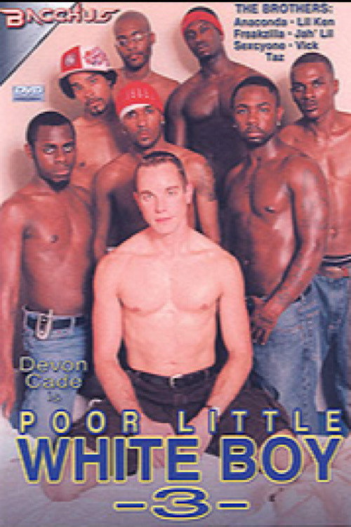 Movie poster for Poor Little White Boy 3 (2004)